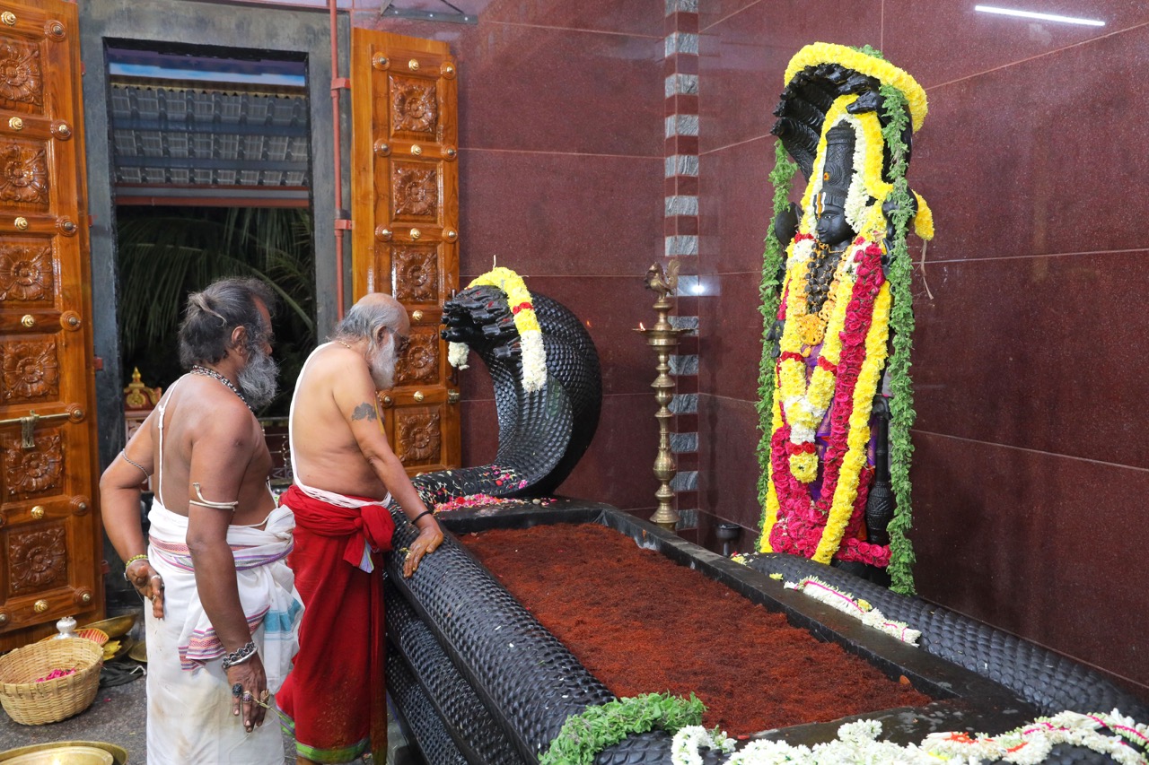 Saligrama Karana Pradishta